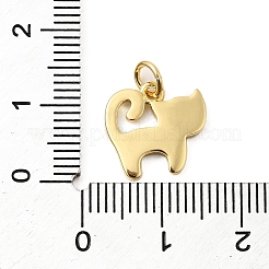 Charms smalto ottone&nbsp;KK-A268-18G-01