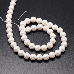Chapelets de perles de coquille&nbsp;BSHE-E008-10mm-12