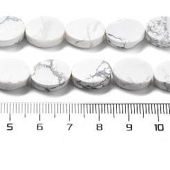 Natürliche Howlith Perlen Stränge&nbsp;G-P559-B05-01