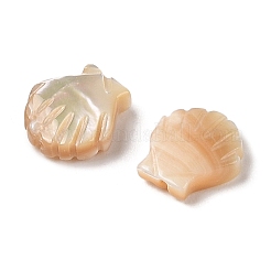 Natürliche geschnitzte Trochus-Muschelperlen&nbsp;SHEL-P017-08A