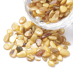 Perle di guscio&nbsp;SHEL-R020-02