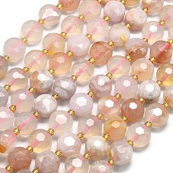 Chapelets de perles en agate naturelle de fleurs de cerisier&nbsp;G-C116-A148-01
