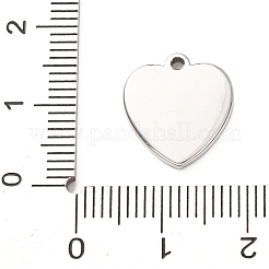 Cabochon pendenti in acciaio inossidabile 304&nbsp;STAS-Z204-04P-07