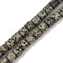 Natur Dalmatiner Jaspis Perlen Stränge&nbsp;G-G275-D18-10x10mm