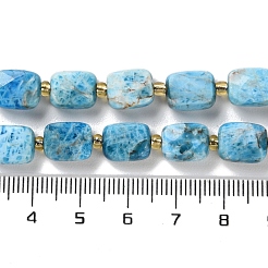 Natürliche Apatit Perlen Stränge&nbsp;G-H061-A04-01