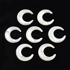 Colgantes de conector de concha blanca natural&nbsp;SSHEL-N034-159