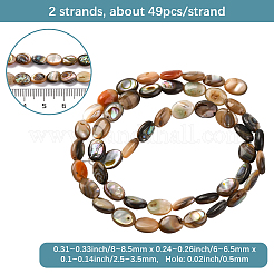 2 hebra de cuentas de concha de paua natural&nbsp;BSHE-PA0001-09