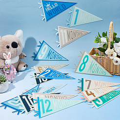 14 Stück Filz-Wimpelflaggen für monatliche Meilensteine für Babys&nbsp;DIY-WH0899-496