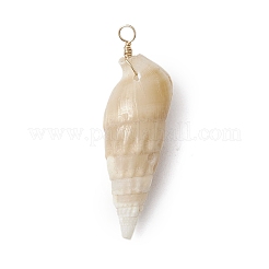 Natürliche Spirale Shell Anhänger&nbsp;PALLOY-JF02951