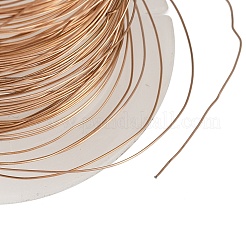 304 Edelstahldraht&nbsp;STAS-A115-01RG-0.3mm