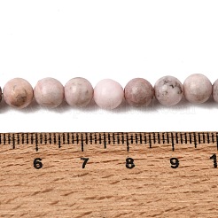 Chapelets de perles de jaspe zèbre rose naturel&nbsp;G-P231-01-6mm