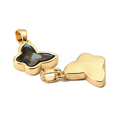 Natürliche Paua Muschel Schmetterling Charms&nbsp;KK-G538-22G