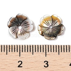 Natürliche schwarze Lippenmuschel geschnitzte Perlen&nbsp;SSHEL-I026-12A-04