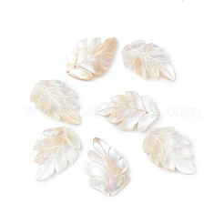 Pendentifs en coquillage naturel&nbsp;SSHEL-K001-002
