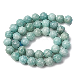 Fili di perline amazonite naturale&nbsp;LS-G-K068-03-10mmA