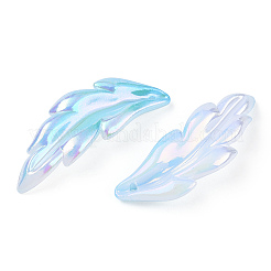 Transparenten Acryl-Anhänger&nbsp;TACR-TAC0005-03B