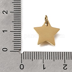 Anhänger aus 304 Edelstahl&nbsp;STAS-E532-07G