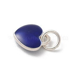 S925 Sterling Silber Anhänger&nbsp;LS-STER-H115-05E-S03