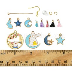 DIY-Sets zum Herstellen von Quastenohrringen aus Emaille-Legierung&nbsp;DIY-FS0001-21B