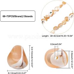 2 Strang natürliche Trochid Muschel/Trochus Muschel Perlenstränge&nbsp;SSHEL-FH0001-11