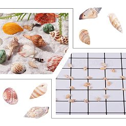 Spirale Shell naturale perline&nbsp;SSHEL-PH0002-09