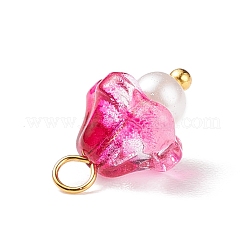 Glas Charms galvanisieren&nbsp;PALLOY-JF01737-01