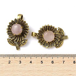 Pendentifs de quartz rose naturel&nbsp;G-A095-03AG-03