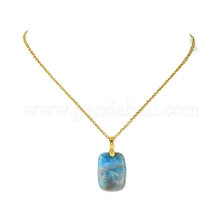 Collana con ciondolo rettangolare in apatite naturale e catena a maglie in acciaio inossidabile 304&nbsp;NJEW-JN06210-02