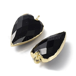 Pendentifs en pierres gemmes mélangées&nbsp;G-G012-12G-A