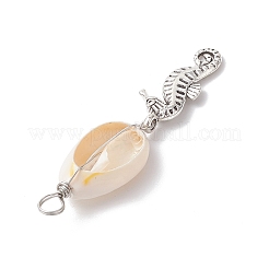 8 stücke 8 arten natürliche kauri shell & legierung meer tiere anhänger&nbsp;PALLOY-JF03750
