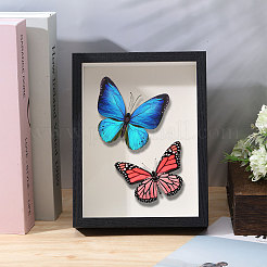 DIY-Kits zur Präsentation von Insektenproben&nbsp;DIY-GL0006-09