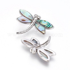 Abalone Muschel / Paua Muschel Anhänger&nbsp;SSHEL-L008-71P