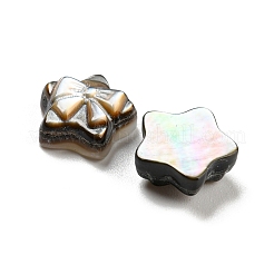 Labbro nero naturale cabochon conchiglia&nbsp;SHEL-D079-20