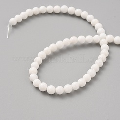 Natürlichen Muschelperlen Stränge&nbsp;BSHE-WH0011-01