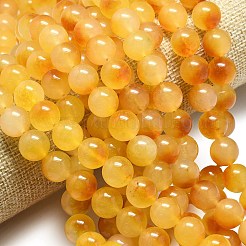Chapelets de perles en jade de malaisie naturelle&nbsp;G-L645-C01-14mm-27