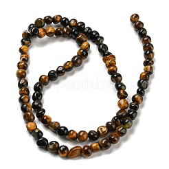 Tigre naturale fili Perle&nbsp;G-F465-61