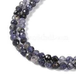 Naturperlen Stränge iolite&nbsp;G-G139-A11-03
