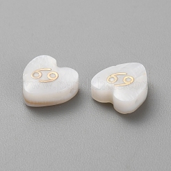 5 Stück natürliche weiße Muschelperlen&nbsp;BSHE-TAC0004-02F