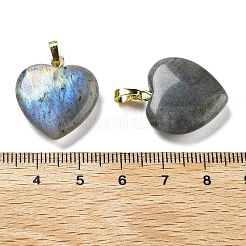 Natur Labradorit Anhänger&nbsp;G-G956-B24-G