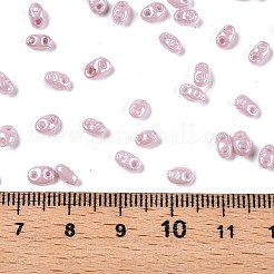 Undurchsichtige Farben Glanz Glas Saatperlen&nbsp;SEED-T006-02E