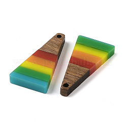 Pendentifs en résine et bois de noyer sur le thème arc-en-ciel de la fierté&nbsp;WOOD-K012-10C