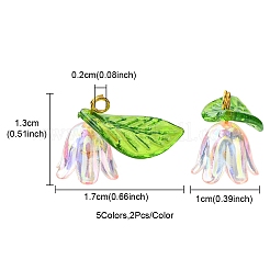 10 pendentifs en acrylique et plastique de 5 couleurs.&nbsp;OACR-YW0001-63