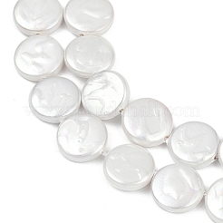 Brins de perles imitation perle en porcelaine électrolytique&nbsp;BSHE-Z009-02B