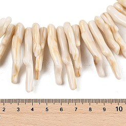 Undurchsichtige Acryl-Perlenstränge aus Korallenimitat&nbsp;SACR-P033-01A