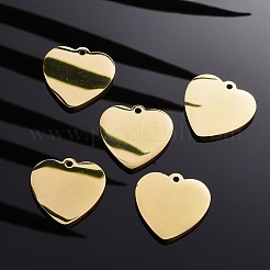 Pendentifs en acier inoxydable 304&nbsp;LS-STAS-I140-10A-G