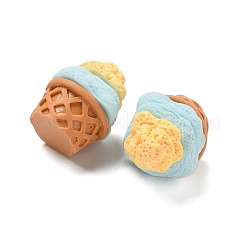 Cabochons en résine&nbsp;RESI-R456-01D