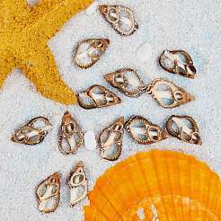 Spirale Shell naturale perline&nbsp;BSHE-SZ0001-02
