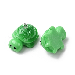 Pendentifs en résine opaque&nbsp;LS-RESI-A049-06