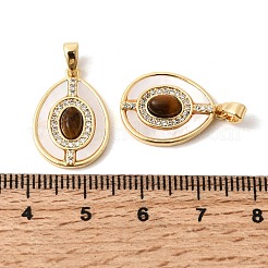 Natürliches Tigerauge mit Muschelanhängern&nbsp;KK-Z149-13G-03