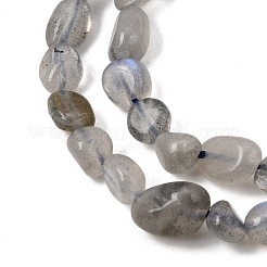 Pépites de labradorite naturelle perles brins&nbsp;G-J335-40
